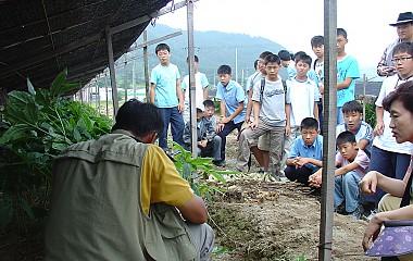 금산인삼축제체험(기민중)